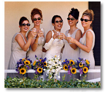 Bridesmaids on Prices On Wedding Acessories Gowns  Bridesmaids Dresses And Gifts